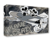 Load image into Gallery viewer, "Plane Crazy" by Beau Hufford