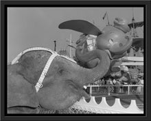 Load image into Gallery viewer, "Elephant & Dumbo" from Disney Photo Archives