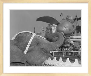"Elephant & Dumbo" from Disney Photo Archives