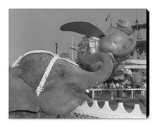 Load image into Gallery viewer, "Elephant & Dumbo" from Disney Photo Archives