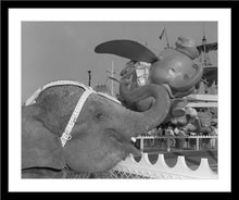 Load image into Gallery viewer, "Elephant & Dumbo" from Disney Photo Archives