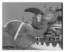 Load image into Gallery viewer, "Elephant & Dumbo" from Disney Photo Archives