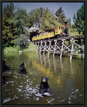 Load image into Gallery viewer, "Mine Train Through Nature's Wonderland Bears" from Disney Photo Archives
