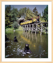 Load image into Gallery viewer, "Mine Train Through Nature's Wonderland Bears" from Disney Photo Archives