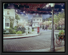 Load image into Gallery viewer, "Cherry Tree Lane" from Disney Photo Archives