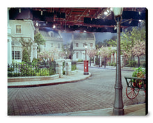 Load image into Gallery viewer, "Cherry Tree Lane" from Disney Photo Archives