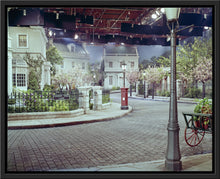 Load image into Gallery viewer, "Cherry Tree Lane" from Disney Photo Archives
