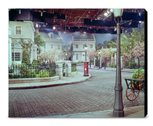 Load image into Gallery viewer, "Cherry Tree Lane" from Disney Photo Archives