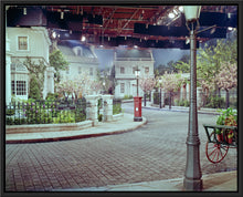Load image into Gallery viewer, "Cherry Tree Lane" from Disney Photo Archives