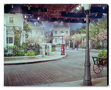 Load image into Gallery viewer, "Cherry Tree Lane" from Disney Photo Archives