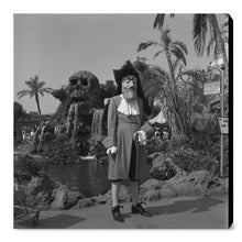 Load image into Gallery viewer, "Captain Hook" from Disney Photo Archives