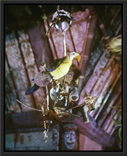 Load image into Gallery viewer, &quot;José in Walt Disney&#39;s Enchanted Tiki Room&quot; from Disney Photo Archives