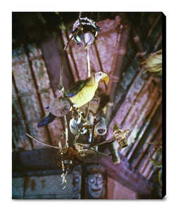 "José in Walt Disney's Enchanted Tiki Room" from Disney Photo Archives