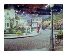 Load image into Gallery viewer, "Cherry Tree Lane" from Disney Photo Archives