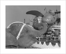 Load image into Gallery viewer, "Elephant & Dumbo" from Disney Photo Archives