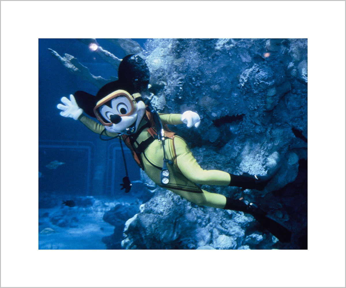 [未開封] mosh pit on disney - Under The Sea Amazon.co.jp: モッシュ・ピット・オン・ディズニー(CCCD