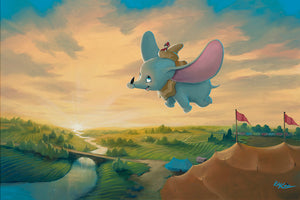 "Flight Over the Big Top" by Rob Kaz