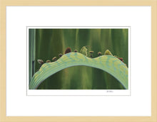 Load image into Gallery viewer, "The Leaf Bridge" by Tia Kratter