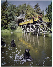 Load image into Gallery viewer, "Mine Train Through Nature's Wonderland Bears" from Disney Photo Archives