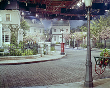 Load image into Gallery viewer, "Cherry Tree Lane" from Disney Photo Archives