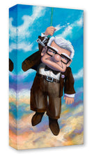 Load image into Gallery viewer, Carl Fredricksen from Up dangles from a green hose in a brown suit and bow tie against a bright blue cloudy sky.