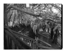 Load image into Gallery viewer, &quot;Walt at Swiss Family Tree House&quot; from Disney Photo Archives