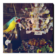 Load image into Gallery viewer, &quot;Pierre in Walt Disney&#39;s Enchanted Tiki Room&quot; from Disney Photo Archives