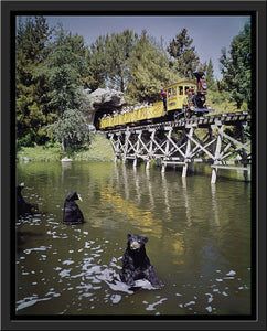 "Mine Train Through Nature's Wonderland Bears" from Disney Photo Archives