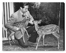 Load image into Gallery viewer, &quot;Walt &amp; Deer&quot; from Disney Photo Archives