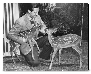 "Walt & Deer" from Disney Photo Archives