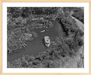 "Aerial View of the Jungle Cruise, Disneyland Park" from Disney Photo Archives