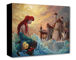 "Ariel's Daydream" by Jared Franco