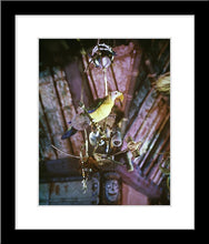 Load image into Gallery viewer, &quot;José in Walt Disney&#39;s Enchanted Tiki Room&quot; from Disney Photo Archives
