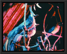 Load image into Gallery viewer, &quot;Walt Disney&#39;s Enchanted Tiki Room Birds&quot; from Disney Photo Archives