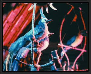 "Walt Disney's Enchanted Tiki Room Birds" from Disney Photo Archives