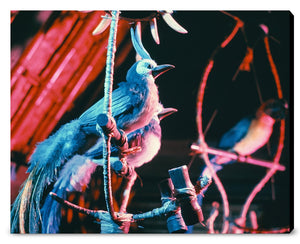 "Walt Disney's Enchanted Tiki Room Birds" from Disney Photo Archives