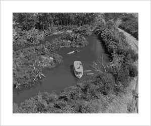"Aerial View of the Jungle Cruise, Disneyland Park" from Disney Photo Archives