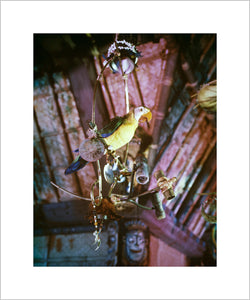 "José in Walt Disney's Enchanted Tiki Room" from Disney Photo Archives