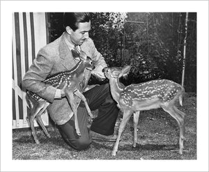 "Walt & Deer" from Disney Photo Archives