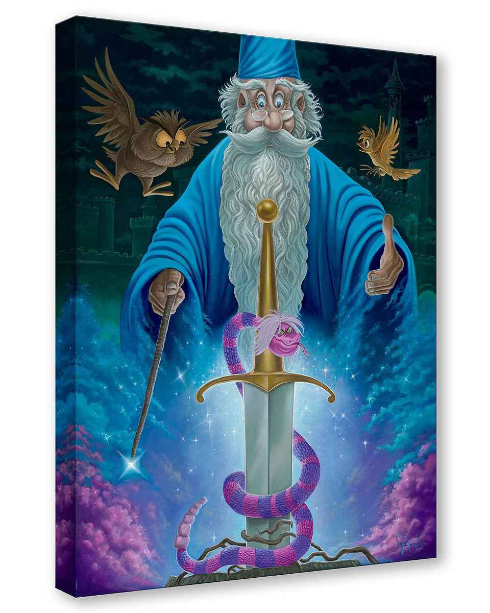 Merlin Fanatsy Merlin Wizard Art