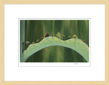Load image into Gallery viewer, &quot;The Leaf Bridge&quot; by Tia Kratter