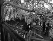 Load image into Gallery viewer, Walt Disney enjoying a preview of the Swiss Family Treehouse at Disneyland Park in September 1962