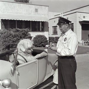 "The Shaggy Dog Speeding Ticket" from Disney Photo Archives
